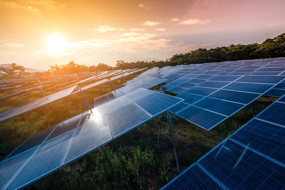 how to start a solar farm in australia