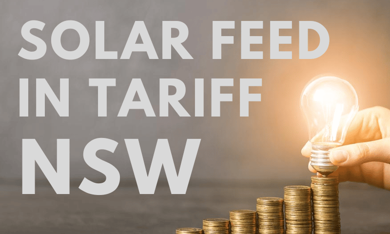 red energy solar feed-in tariff
